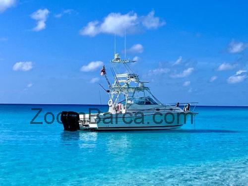 Stamas 320 Express scheda tecnica e recensioni